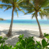 Palmy Beach