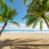 Caribbean Days II