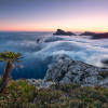 Island Paradise