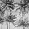 Coco Oasis