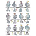 Doves - Thumbnail View 1