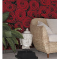 Roses - Thumbnail View 1