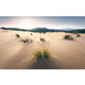 Vivid Dunes - Thumbnail View 1