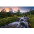 Wild Paradise - Thumbnail View 1