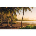 Golden Lands - Thumbnail View 1