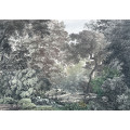 Fairytale Forest - Thumbnail View 1