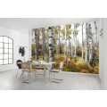 Colorful Aspenwoods - Thumbnail View 1