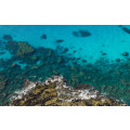 Bright Blue  - Thumbnail View 1
