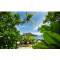 Cast Away Jungle  - Thumbnail View 1