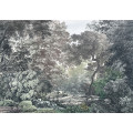 Wood Wide Web - Thumbnail View 1