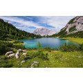 Paradise Lake - Thumbnail View 1