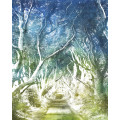 Alley - Thumbnail View 1