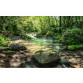 Tranquil Pool - Thumbnail View 1