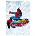 Spider-Man Comic Classic - Thumbnail View 1