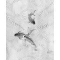 Perfect Pond - Thumbnail View 1