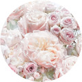 Pink and Cream Roses - Thumbnail View 1