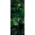 Tropical Wall - Thumbnail View 1