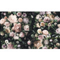 Victoria Black - Thumbnail View 1