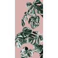 Monstera Rosé - Thumbnail View 1