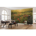 Poppy World I - Thumbnail View 1