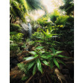 Spirit - Thumbnail View 1