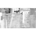 Rhombus Hiding - Thumbnail View 1