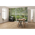 Sunny Day - Thumbnail View 1