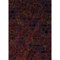 Lotus - Thumbnail View 1