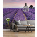 Provence - Thumbnail View 1