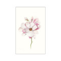 Bloomy Quartett - Thumbnail View 1