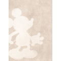 Mickey Contour - Thumbnail View 1
