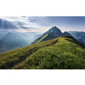 Green Vein - Thumbnail View 1