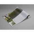 Zauberhaftes Buchenspektakel - Thumbnail View 1