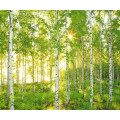 Sunday - Thumbnail View 1