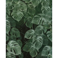 Monstera on Marble - Thumbnail View 1