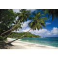 Tropical Sea - Thumbnail View 1