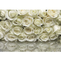 A la Rose - Thumbnail View 1