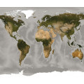 World - Thumbnail View 1