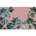 Monstera Rosé - Thumbnail View 1