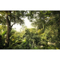 Dschungel - Thumbnail View 1