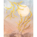 Sol - Thumbnail View 1