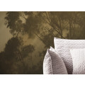 Foggy Sunshine - Thumbnail View 1