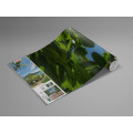 Cast Away Jungle  - Thumbnail View 1