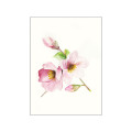 Bloomy Quartett - Thumbnail View 1