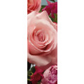 Rosenduft - Thumbnail View 1
