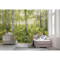 Birch Trees - Thumbnail View 1