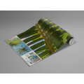 Coconut Heaven II  - Thumbnail View 1