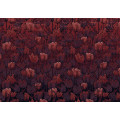 Tulipe - Thumbnail View 1