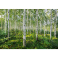 Sunny Day - Thumbnail View 1