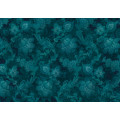 Fleurs de Nuit - Thumbnail View 1